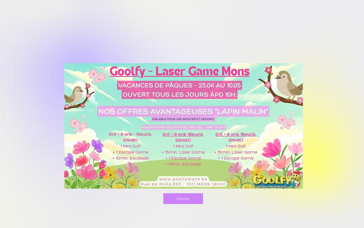Laser Game Goolfy Mons