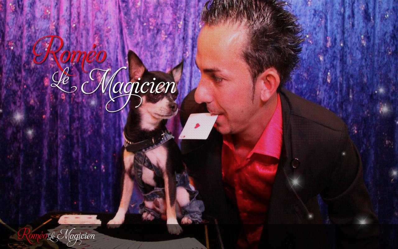 Roméo le Magicien